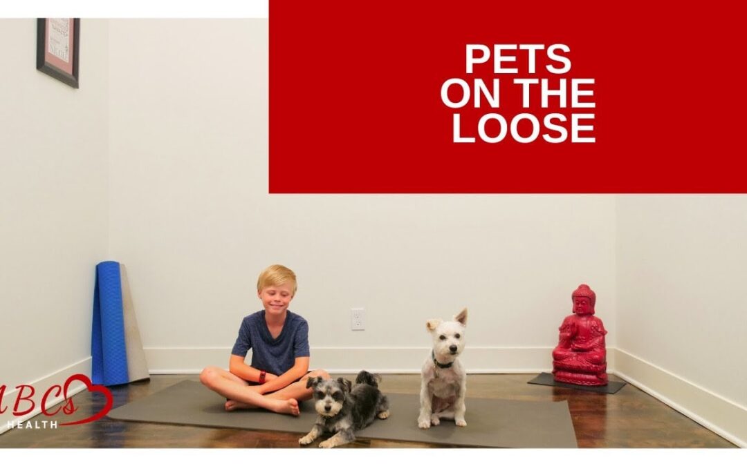 Pets on the Loose, Yoga for Kids