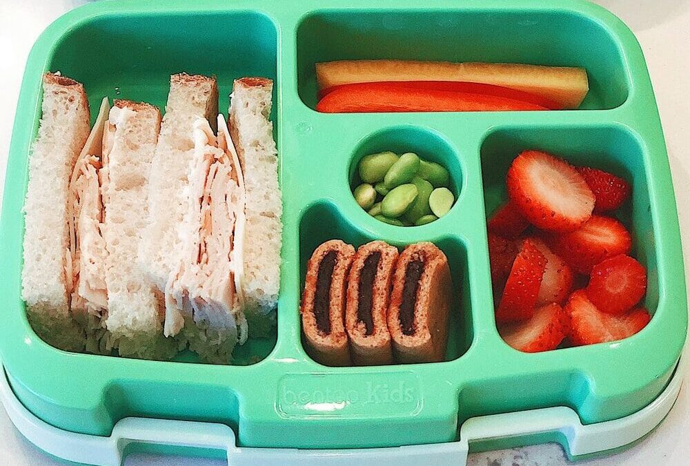 School Lunch Box Ideas-Parent and Kid Approved