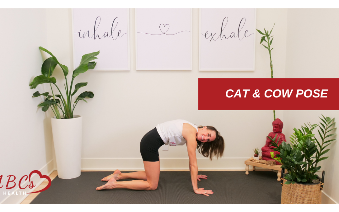 Cat and Cow Pose